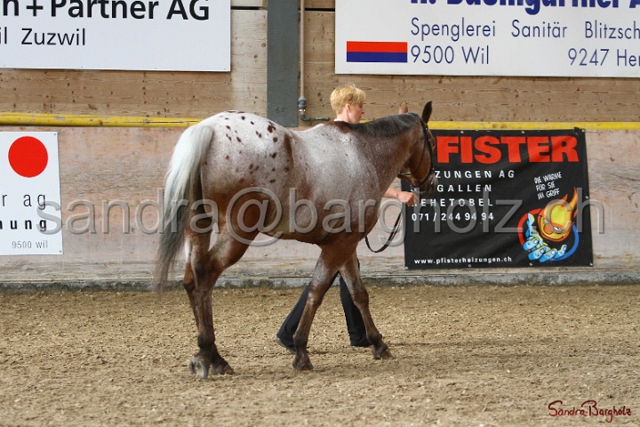24-ApHC HIH_069.jpg